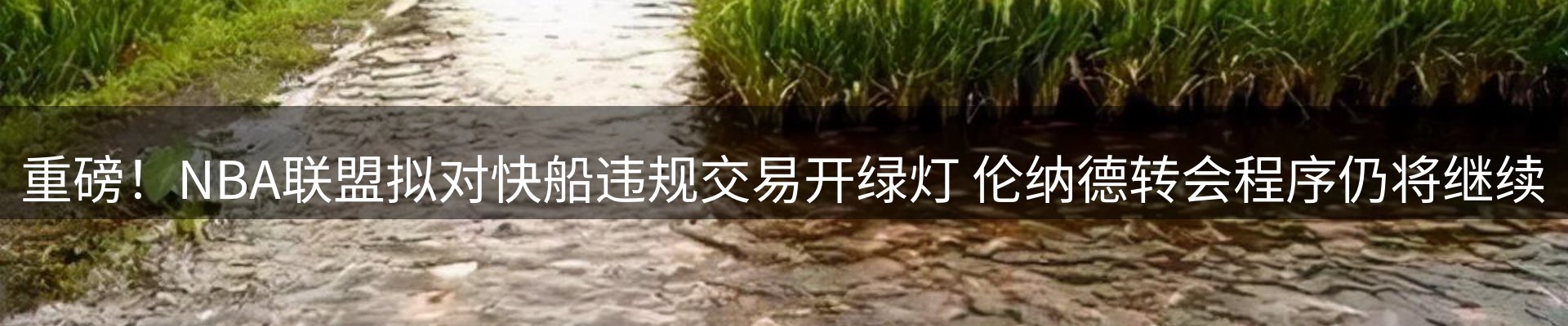 内页banner