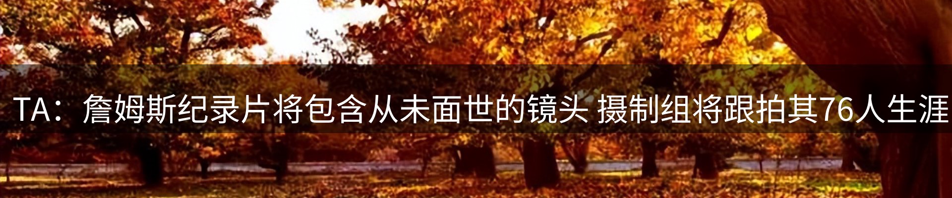 内页banner